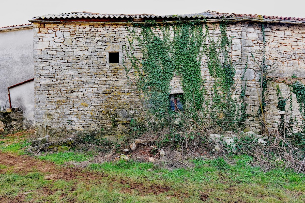 Casa Šajini, Barban, 255m2