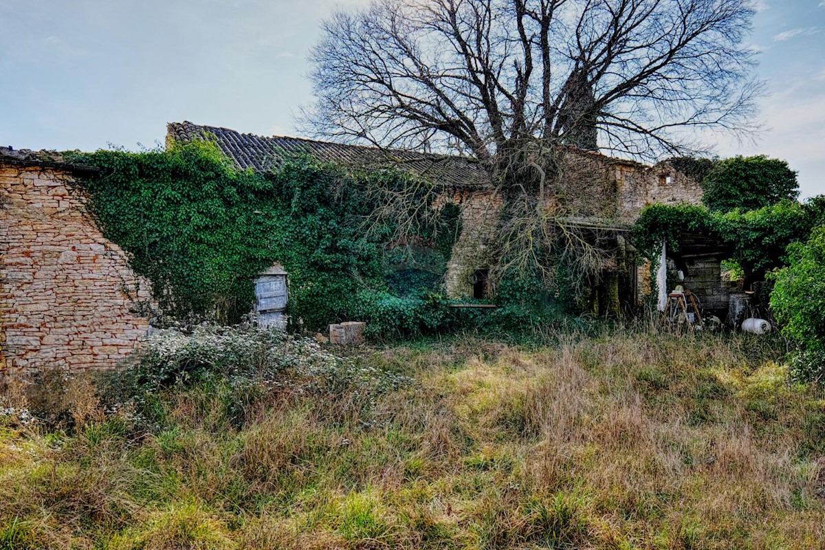 Casa Šajini, Barban, 255m2