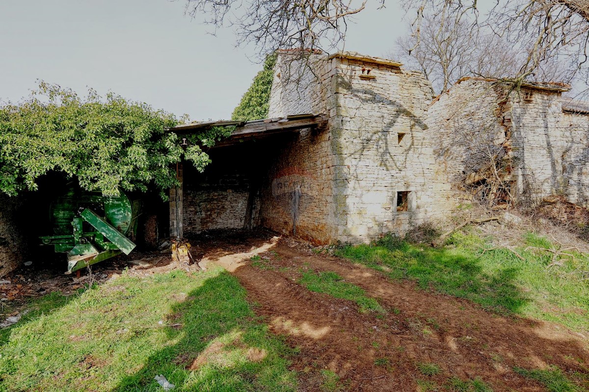 Casa Šajini, Barban, 255m2