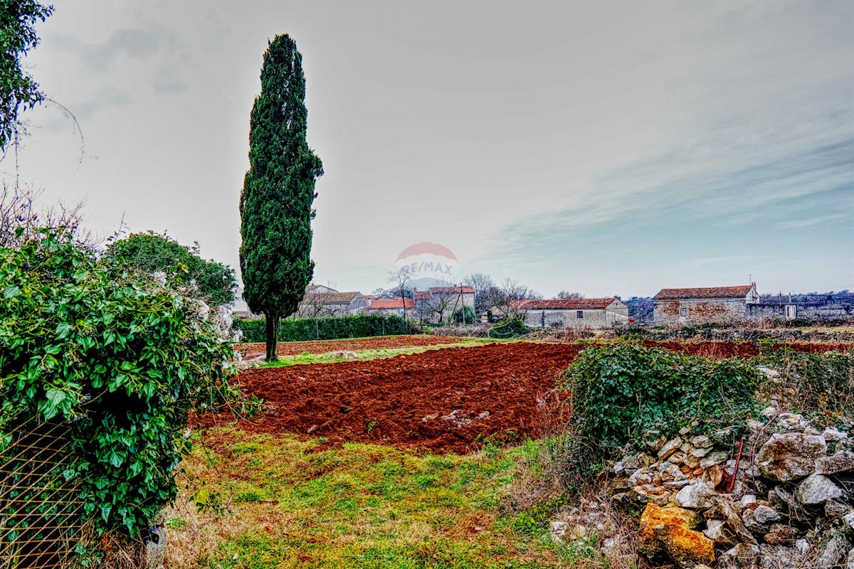 Casa Šajini, Barban, 255m2