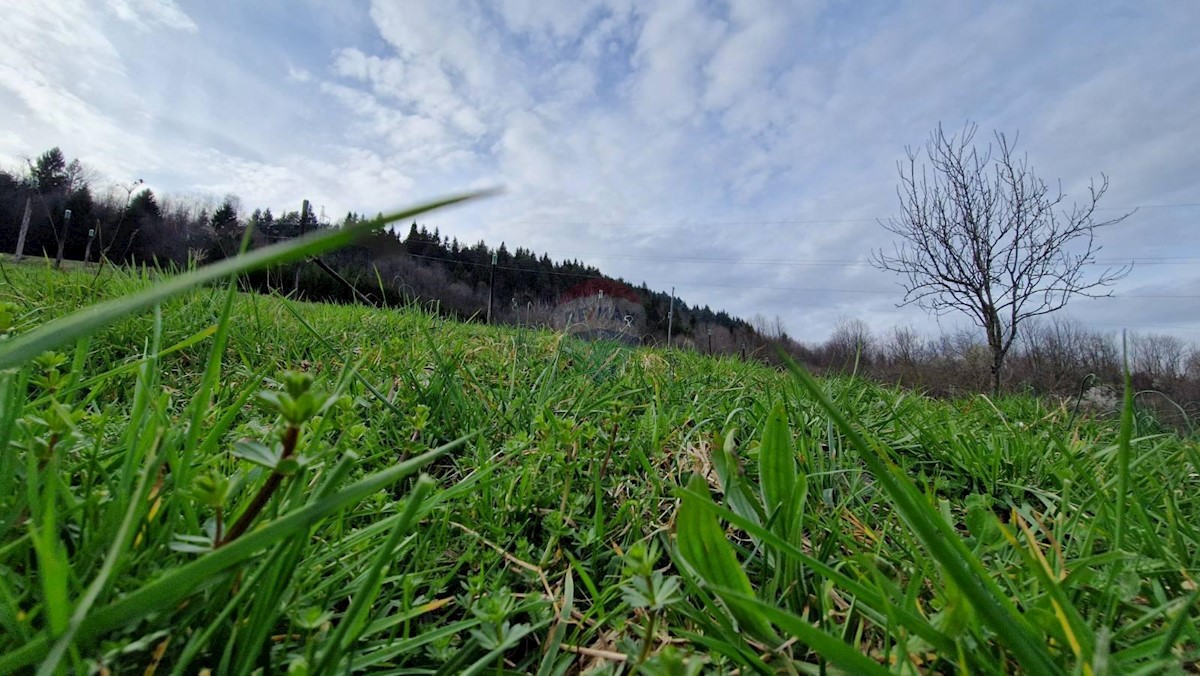 Terreno non edificabile Vujnovići, Vrbovsko, 7.000m2