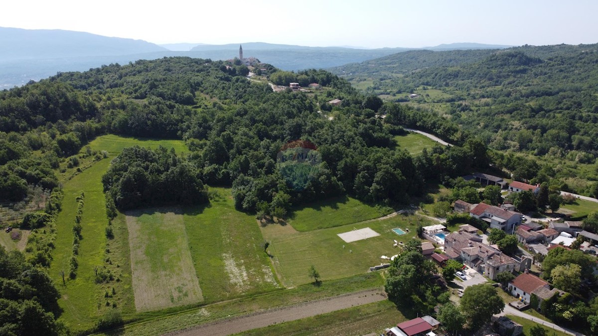 ISTRIA, PIĆAN - 3 holiday homes for 22 people 4500 m2 garden!