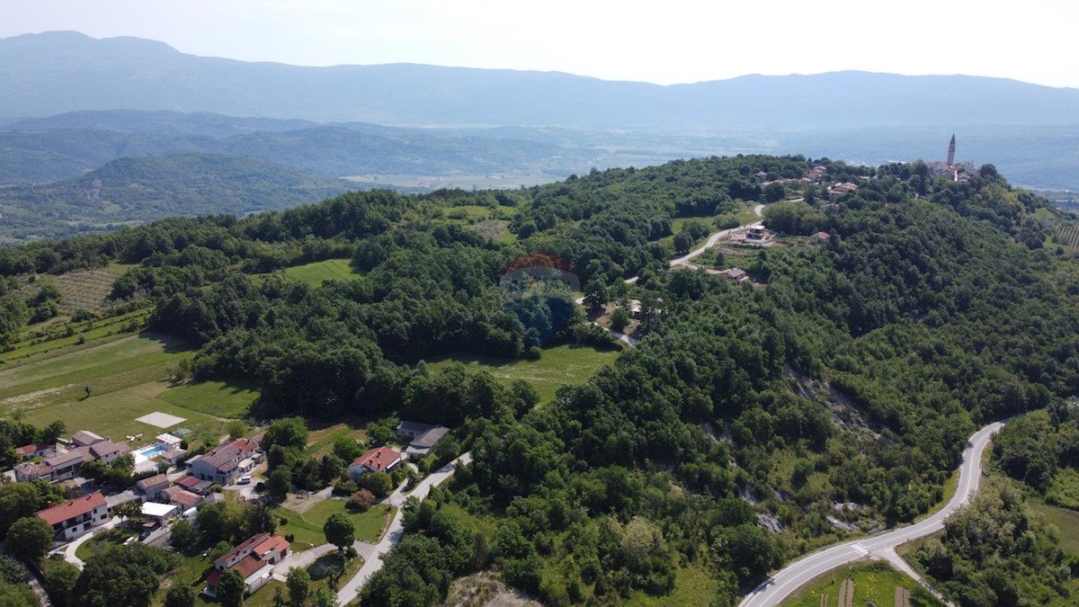 ISTRIA, PIĆAN - 3 holiday homes for 22 people 4500 m2 garden!