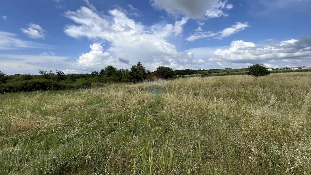 Terreno edificabile Višnjan, 10.399m2