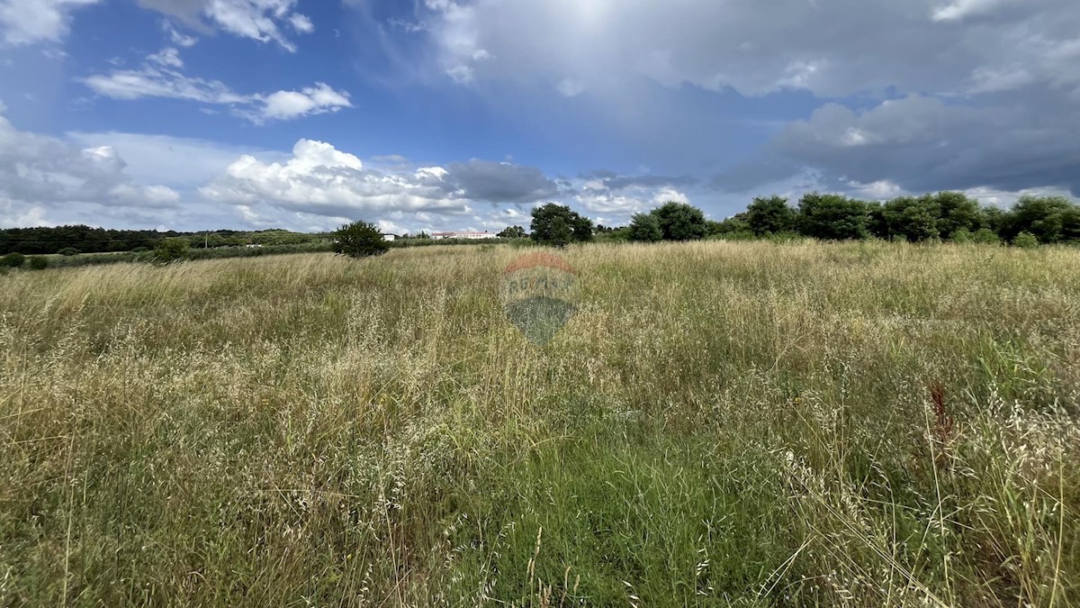 Terreno edificabile Višnjan, 10.399m2