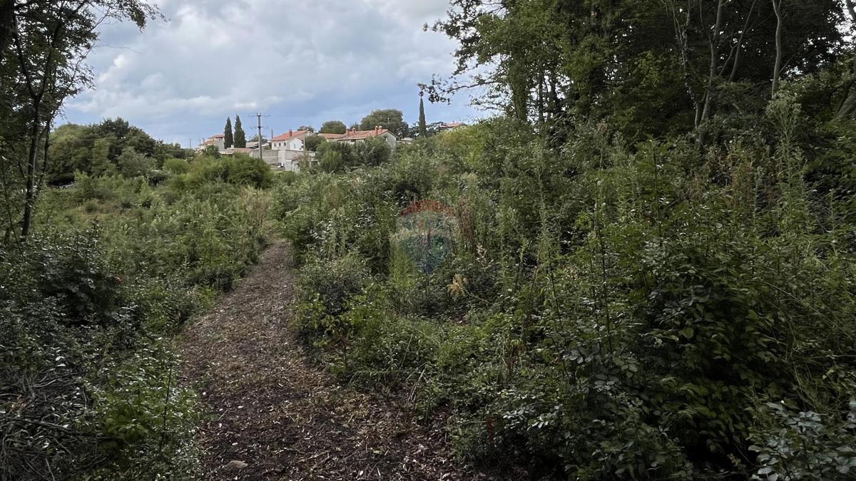 Terreno edificabile Križanci, Žminj, 5.812m2