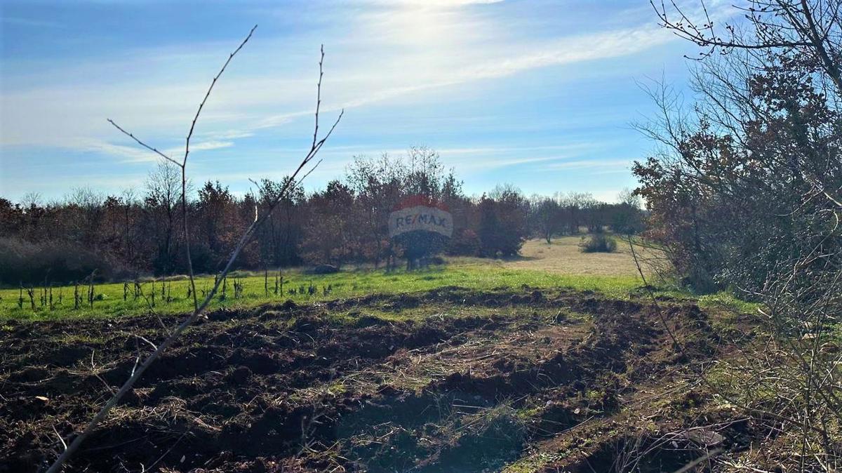 Terreno edificabile Štokovci, Svetvinčenat, 770m2