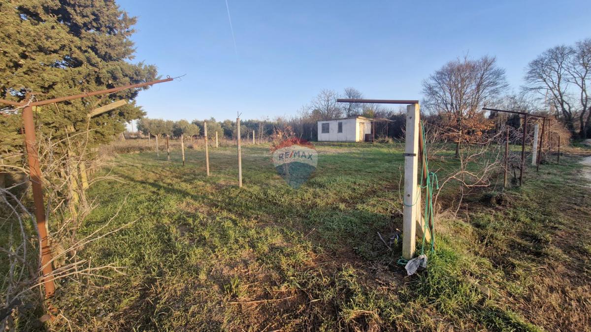 Istria, Fasana, dintorni – posizione tranquilla, terreno ai margini della zona edificabile