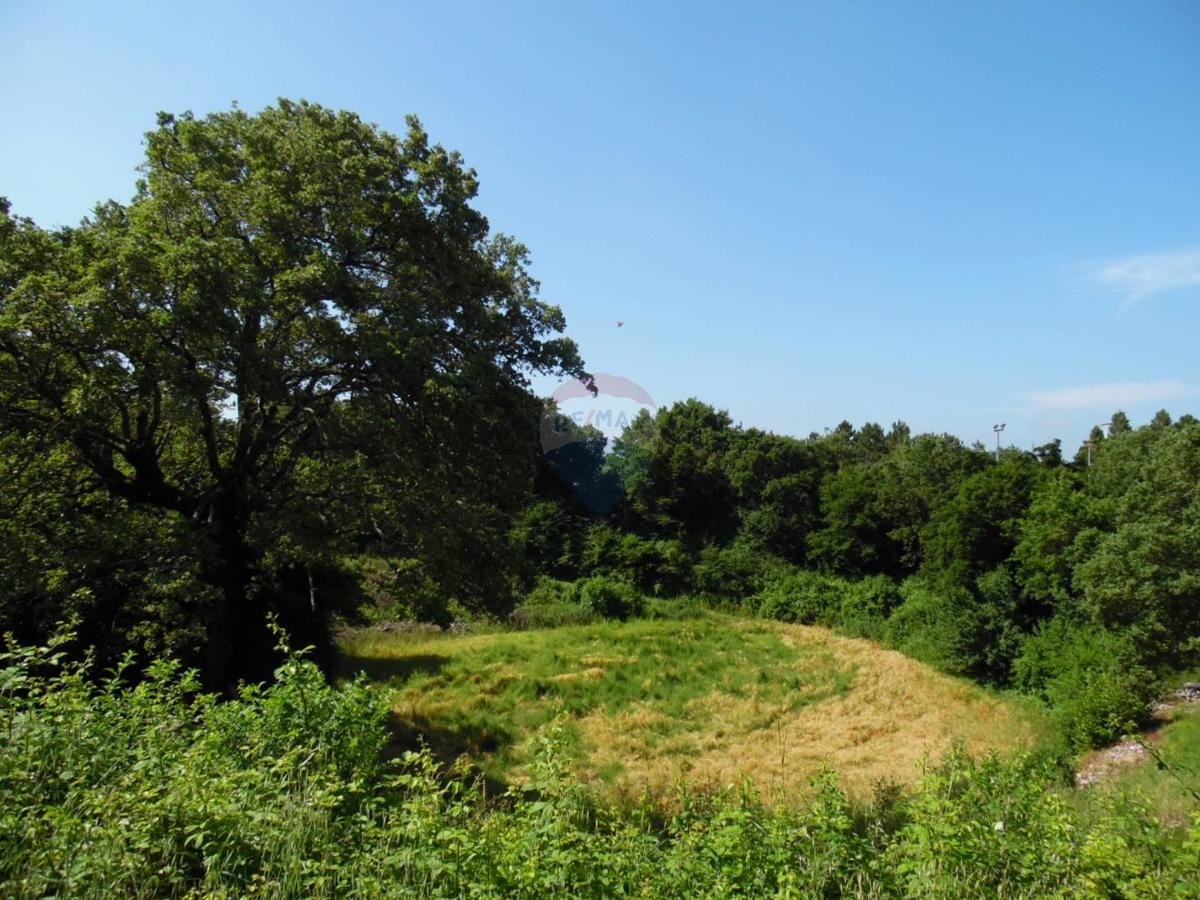 Terreno edificabile Marići, Kanfanar, 3.730m2