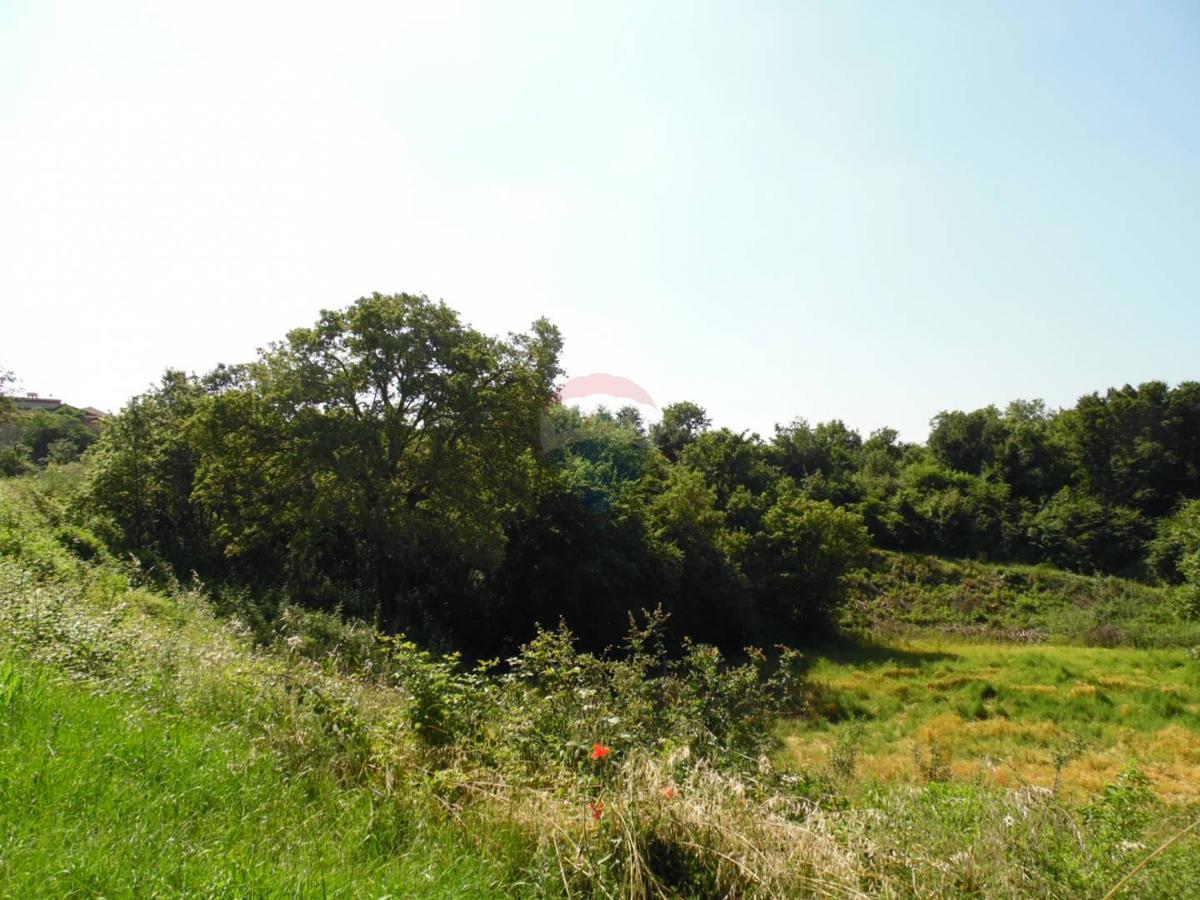 Terreno edificabile Marići, Kanfanar, 3.730m2