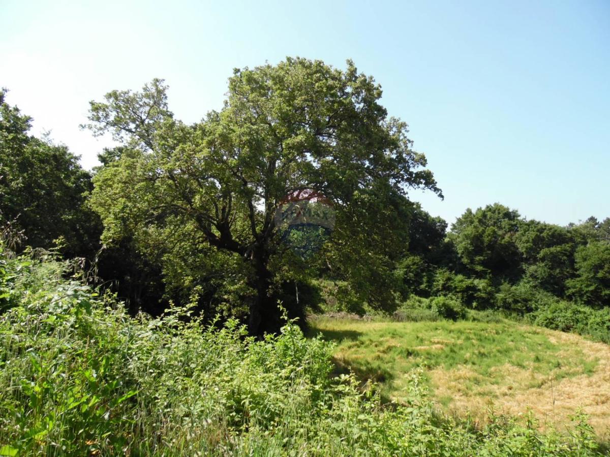 Terreno edificabile Marići, Kanfanar, 3.730m2