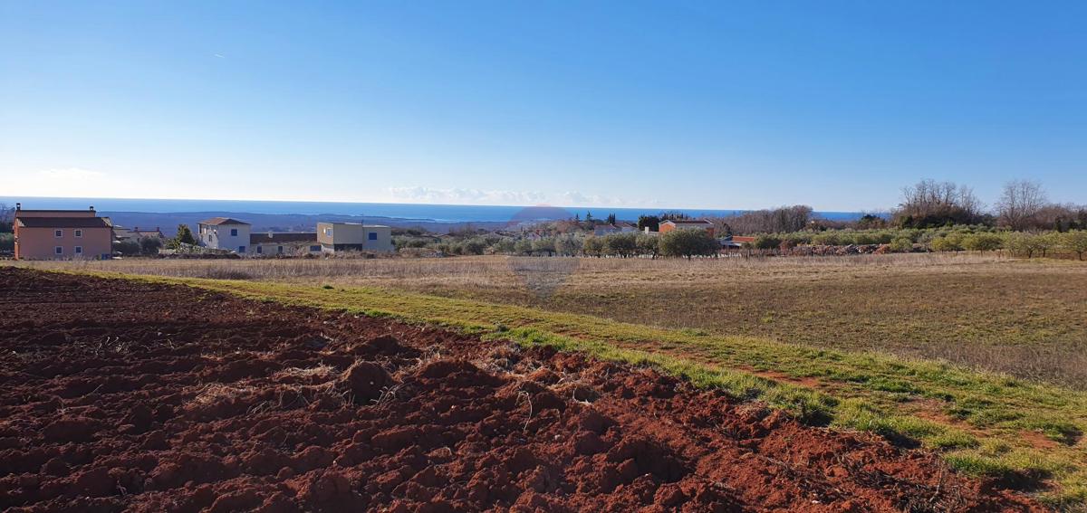 Terreno edificabile Kaštelir, Kaštelir-Labinci, 1.019m2