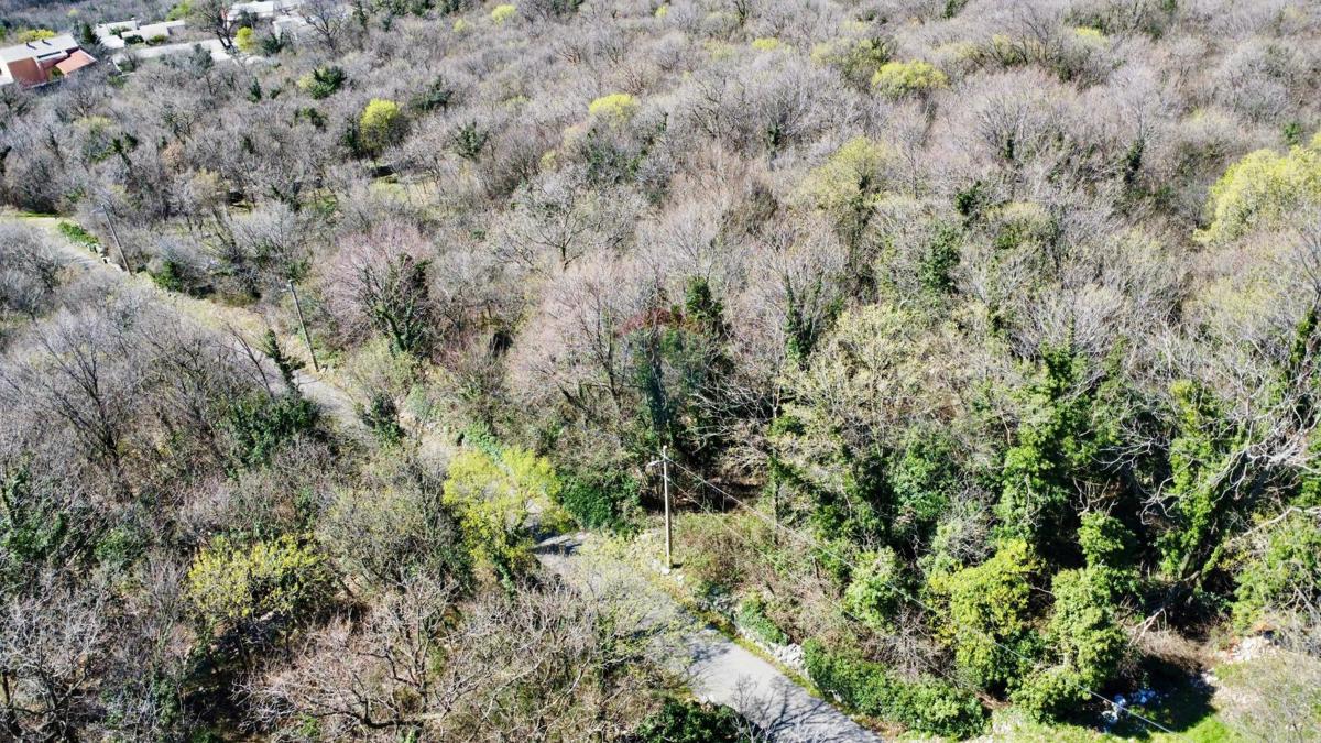 Terreno non edificabile Grižane-Belgrad, Vinodolska Općina, 490m2
