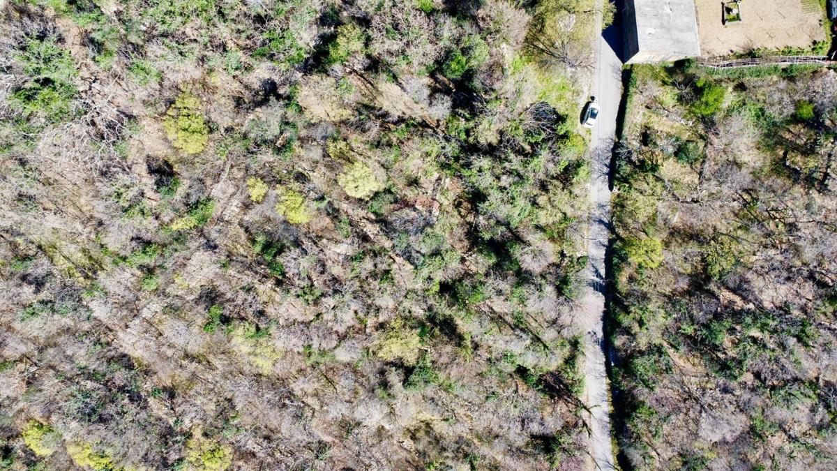 Terreno non edificabile Grižane-Belgrad, Vinodolska Općina, 490m2