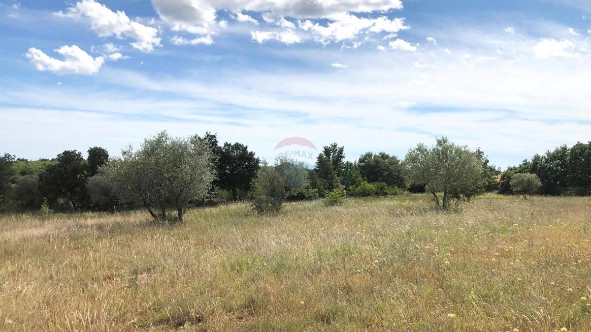 Terreno edificabile Umag, 10.597m2