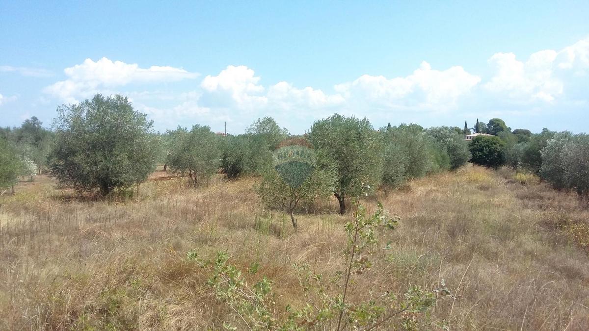 Terreno edificabile Umag, 10.597m2