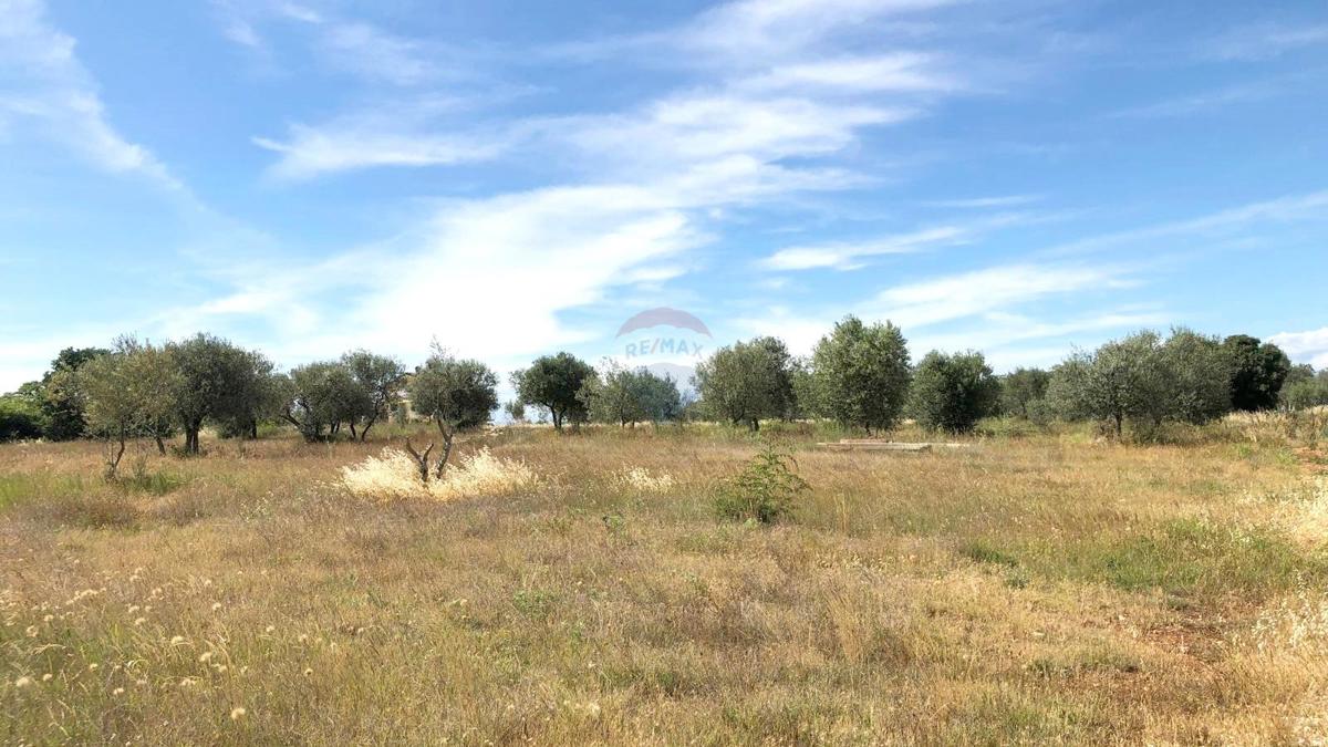 Terreno edificabile Umag, 10.597m2