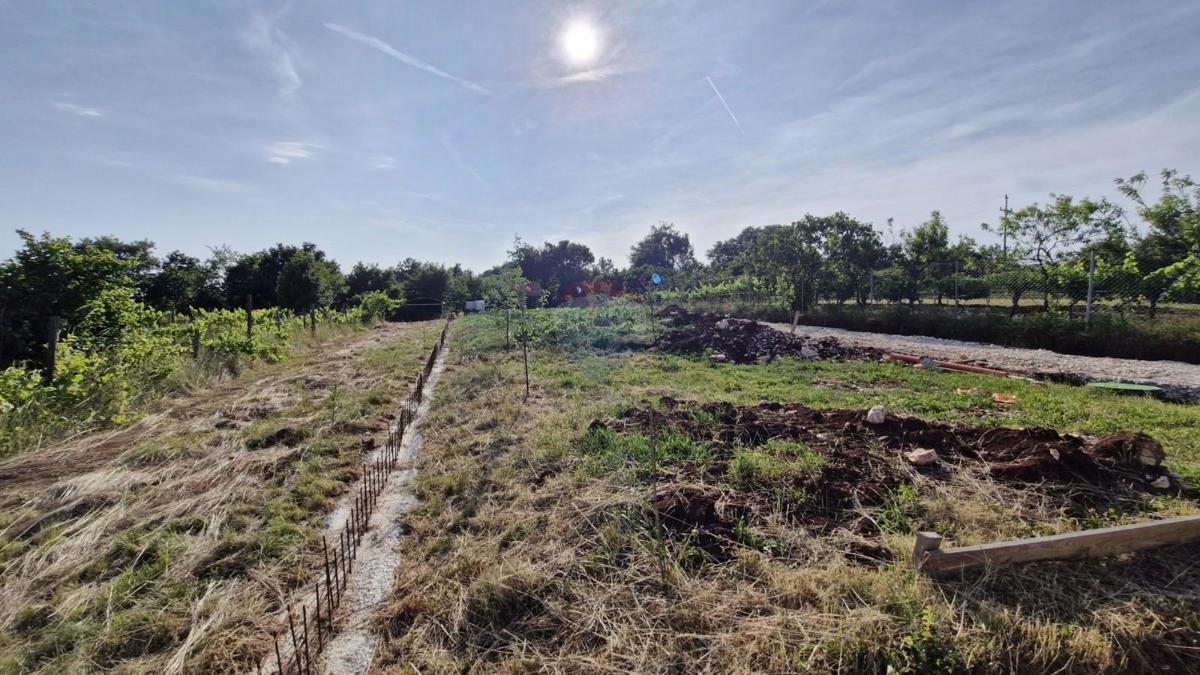 Terreno edificabile Domijanići, Žminj, 1.351m2