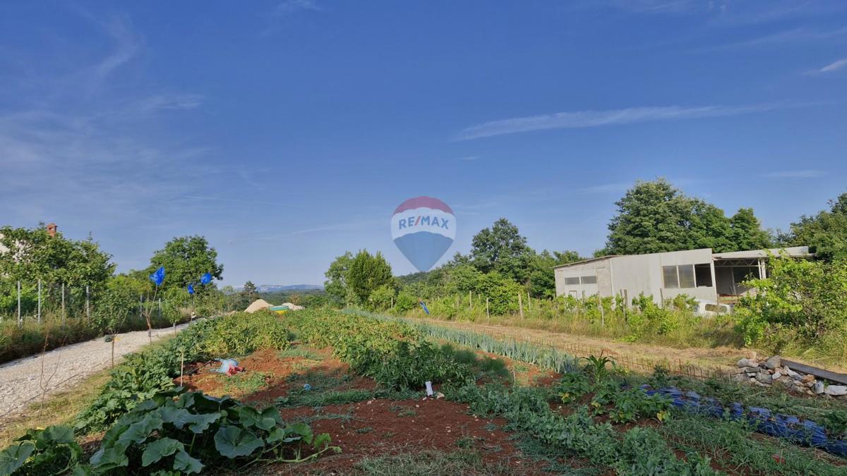 Terreno edificabile Domijanići, Žminj, 1.351m2