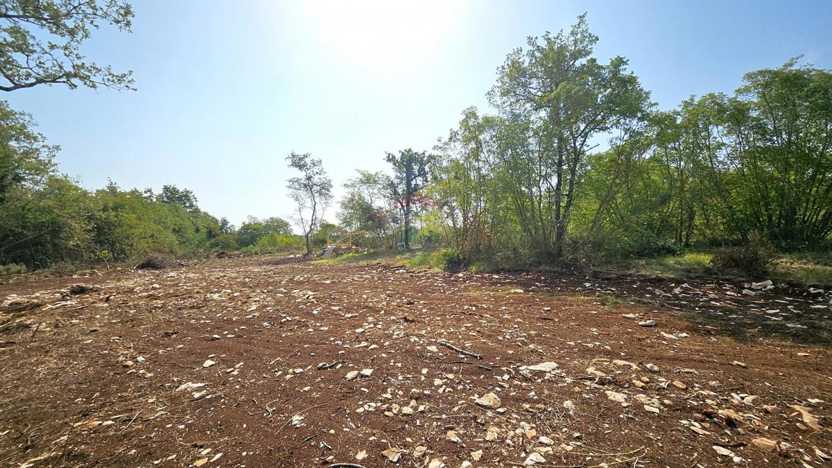 Terreno non edificabile Kršete, Buje, 16.170m2