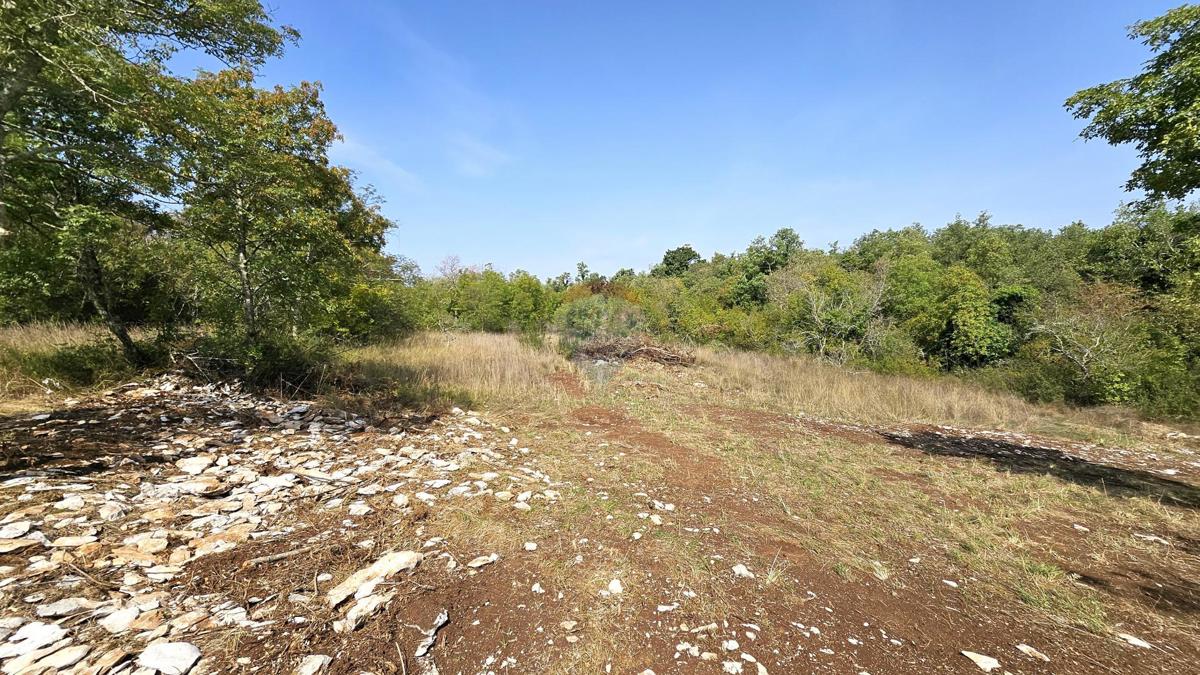 Terreno non edificabile Kršete, Buje, 16.170m2
