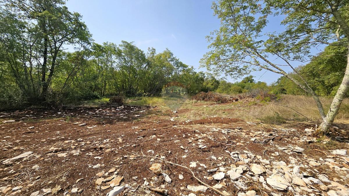 Terreno non edificabile Kršete, Buje, 16.170m2