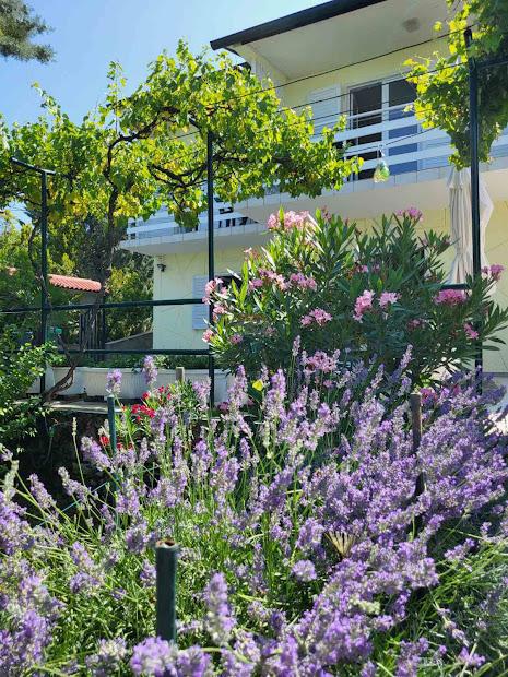 Casa Klenovica, Novi Vinodolski, 150m2