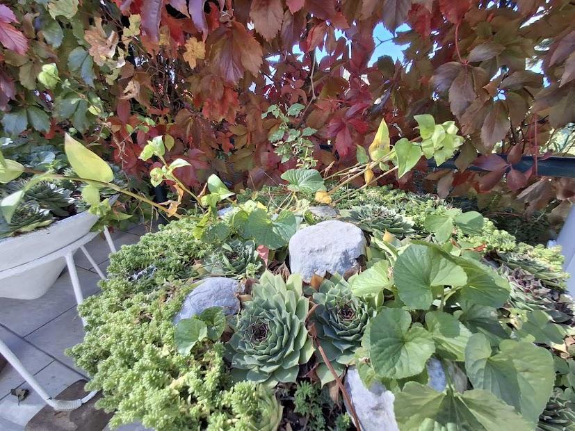 Casa Klenovica, Novi Vinodolski, 150m2