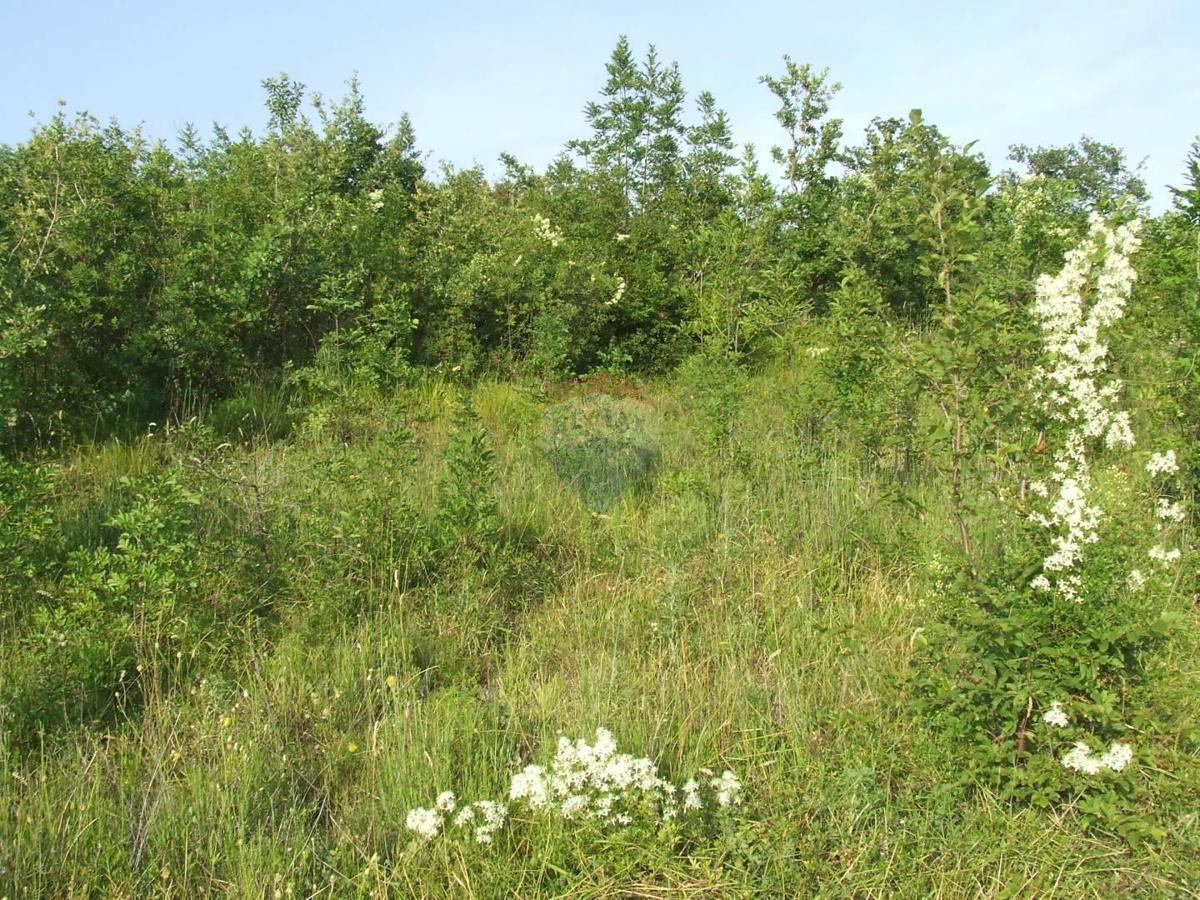 Terreno edificabile Crikvenica, 2.966,40m2