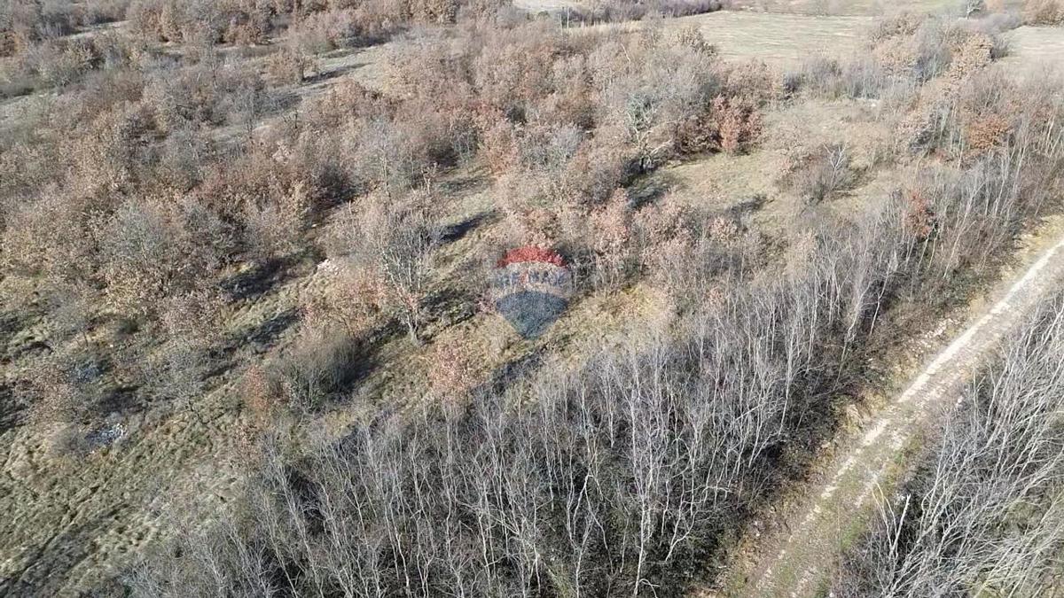 Terreno non edificabile Baderna, Poreč, 27.086m2