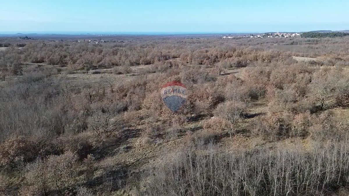 Terreno non edificabile Baderna, Poreč, 27.086m2