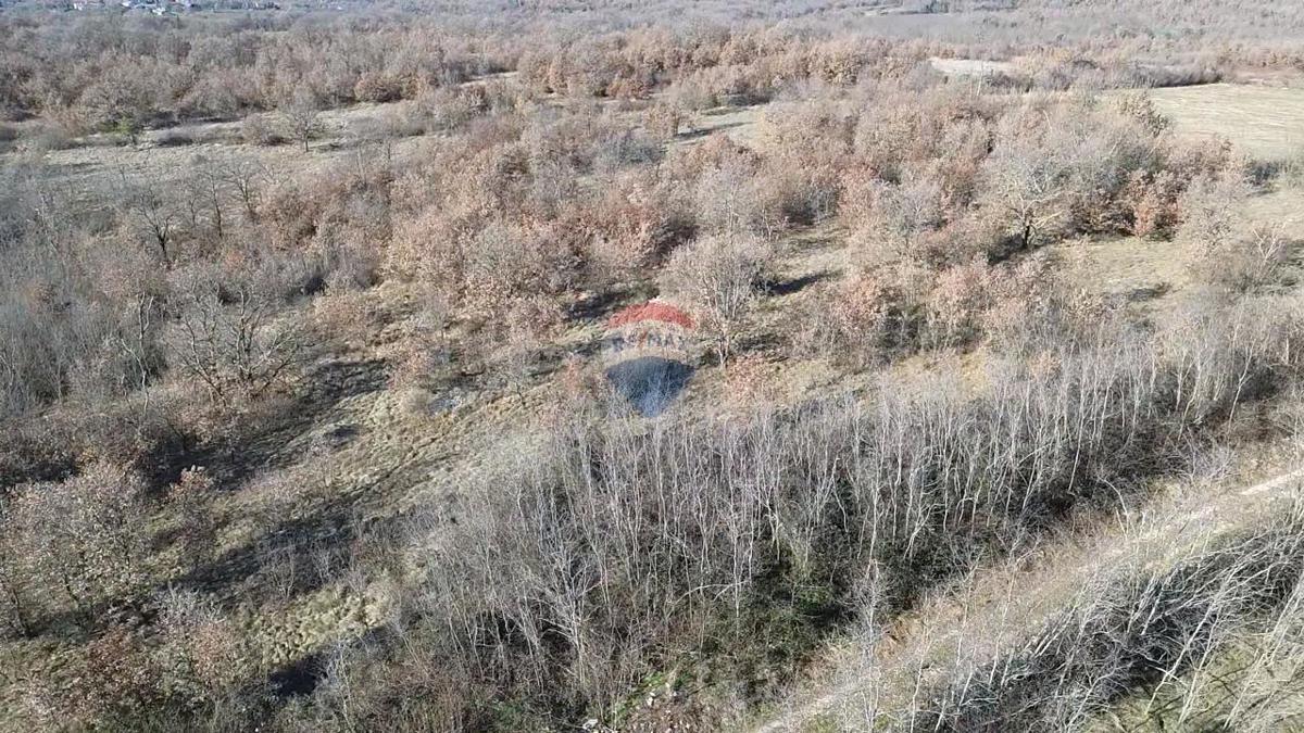 Terreno non edificabile Baderna, Poreč, 27.086m2