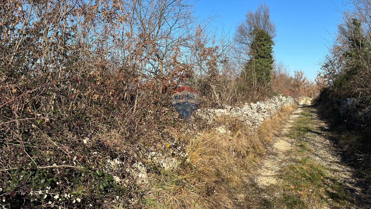 Terreno non edificabile Baderna, Poreč, 27.086m2