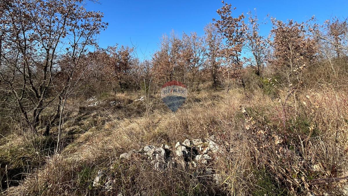 Terreno non edificabile Baderna, Poreč, 27.086m2