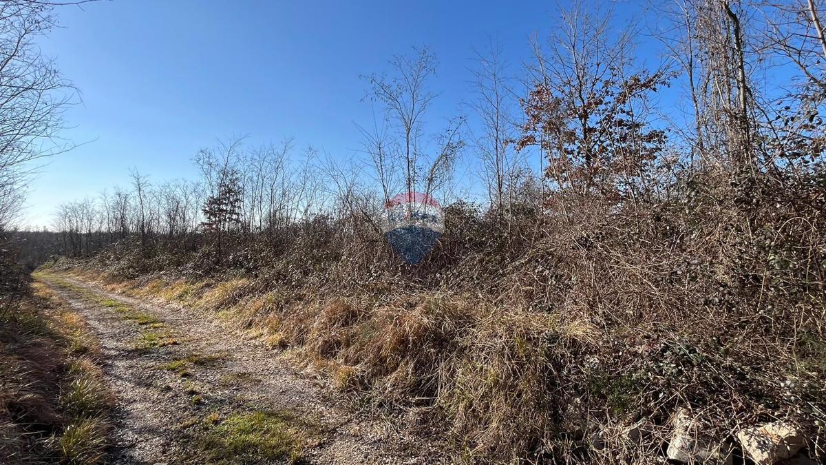 Terreno non edificabile Baderna, Poreč, 27.086m2