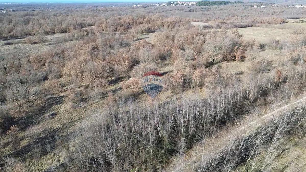 Terreno non edificabile Baderna, Poreč, 27.086m2