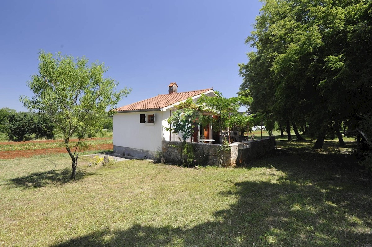 Villa Singola/Casa Vacanza Rovinj, 20.000m2