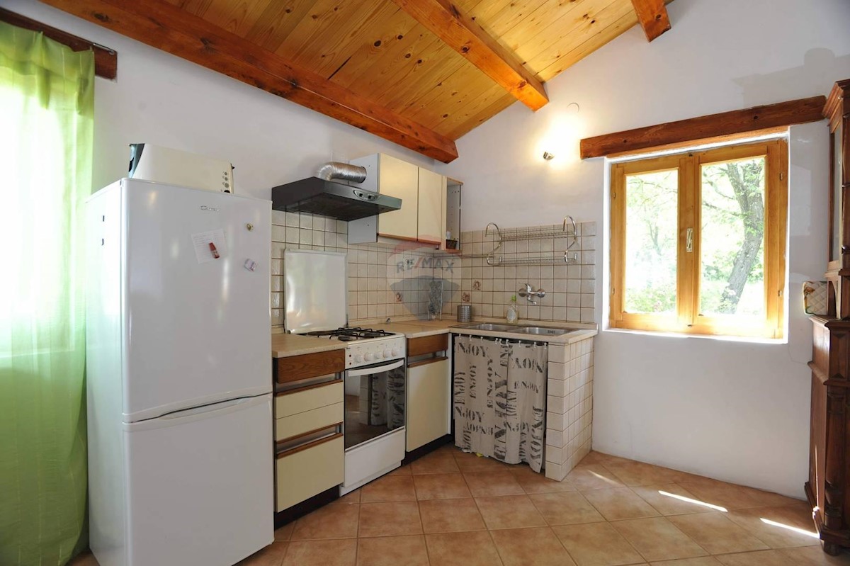 Villa Singola/Casa Vacanza Rovinj, 20.000m2