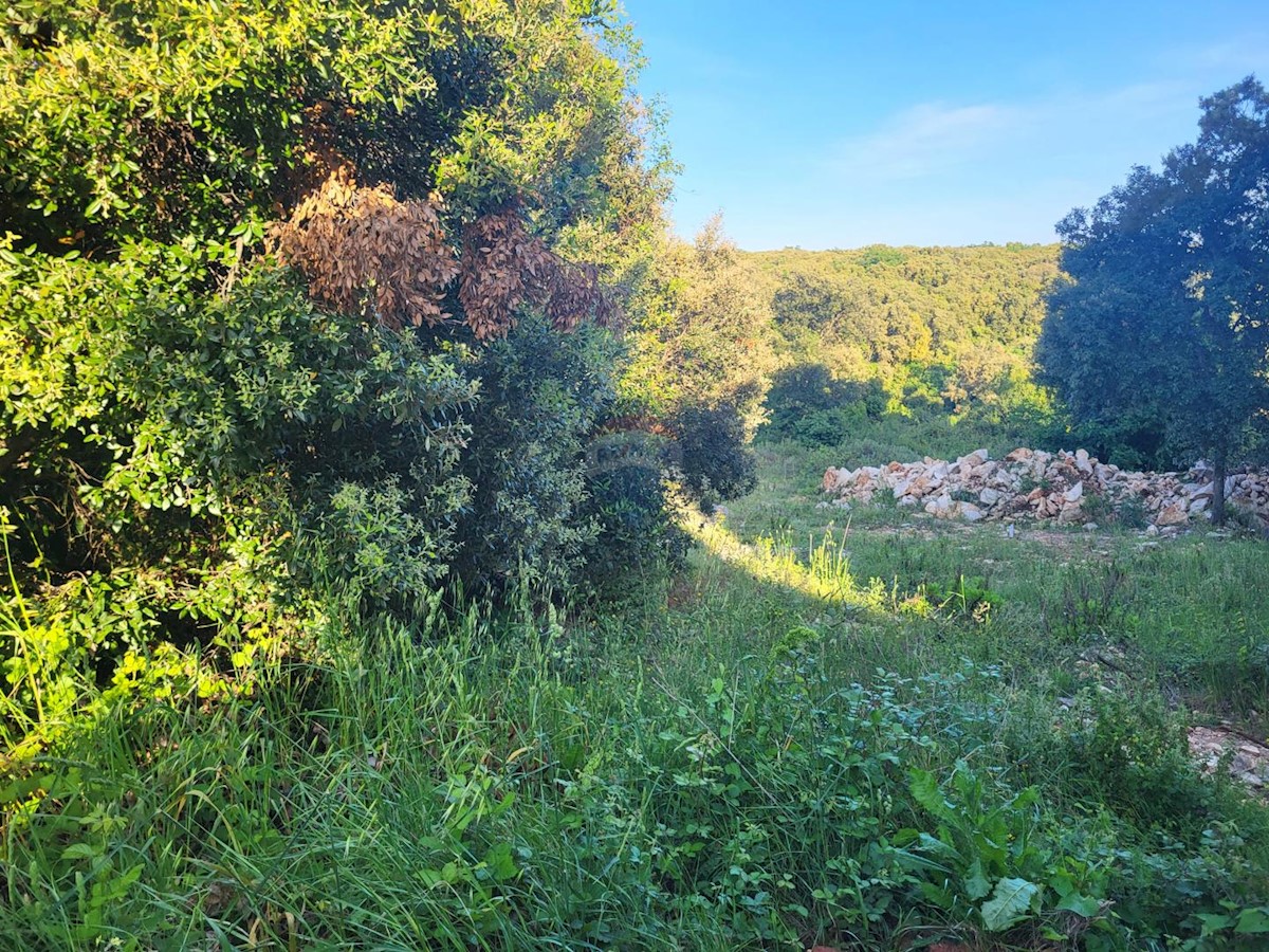 Terreno edificabile Duga Uvala, Marčana, 267m2