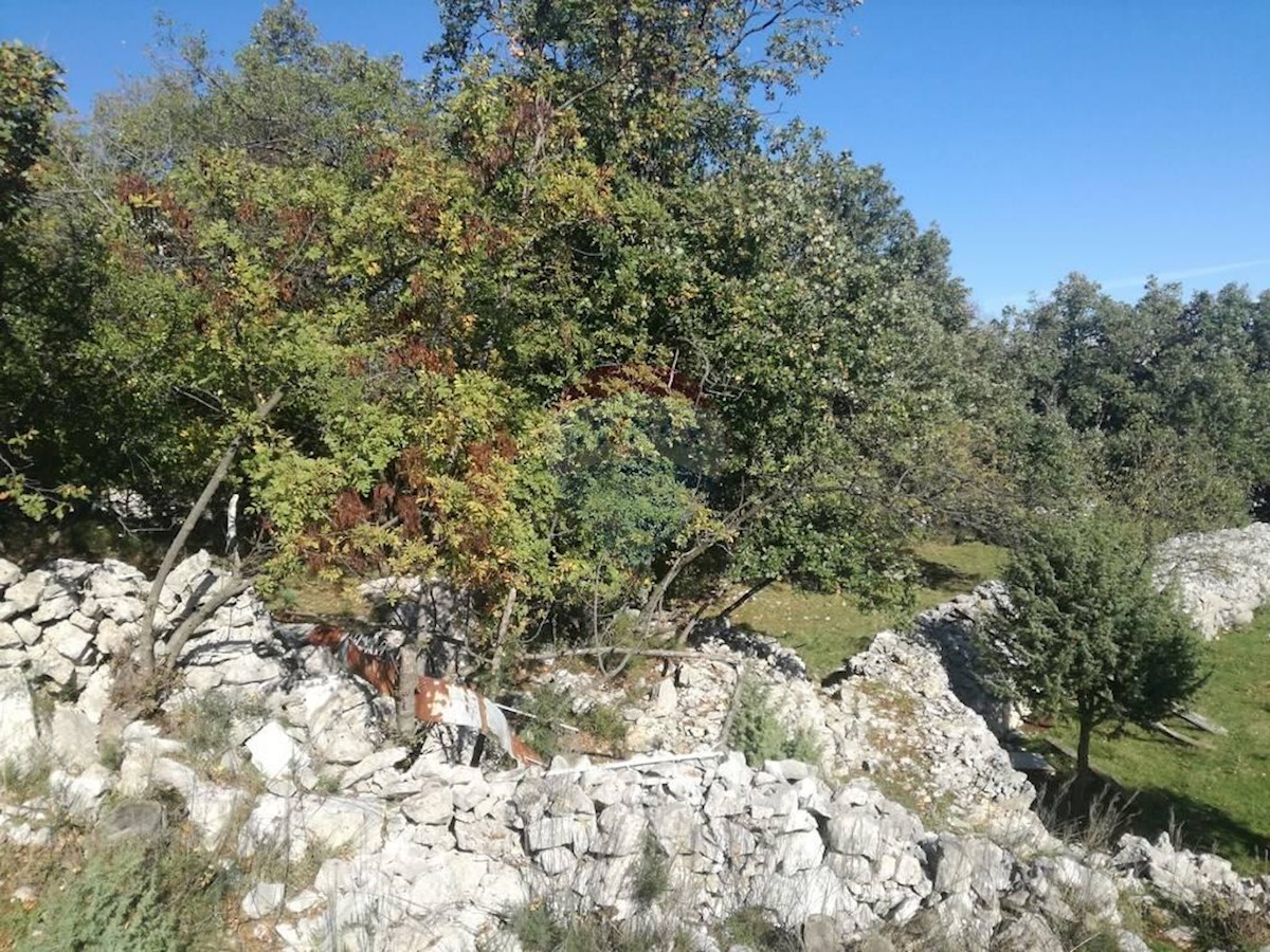 Terreno edificabile Sveta Jelena, Mošćenička Draga, 716m2