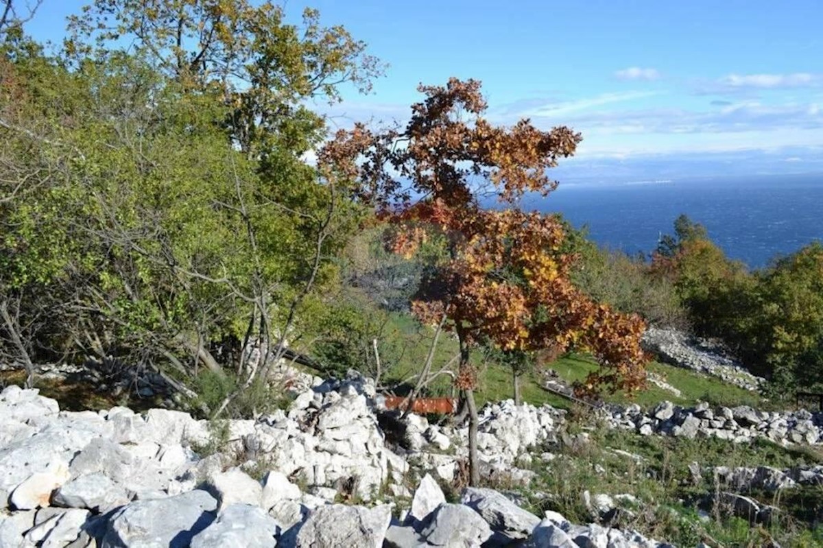 Terreno edificabile Sveta Jelena, Mošćenička Draga, 716m2