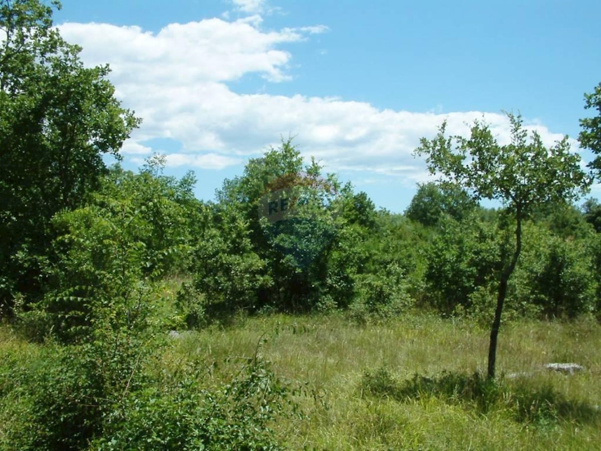 Terreno edificabile Kloštar, Sveti Lovreč, 2.206m2