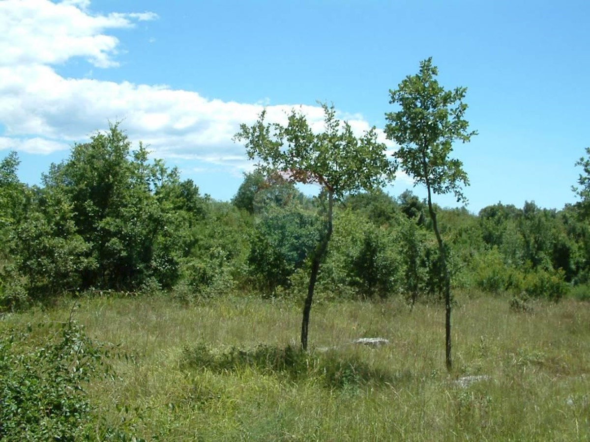 Terreno edificabile Kloštar, Sveti Lovreč, 2.206m2