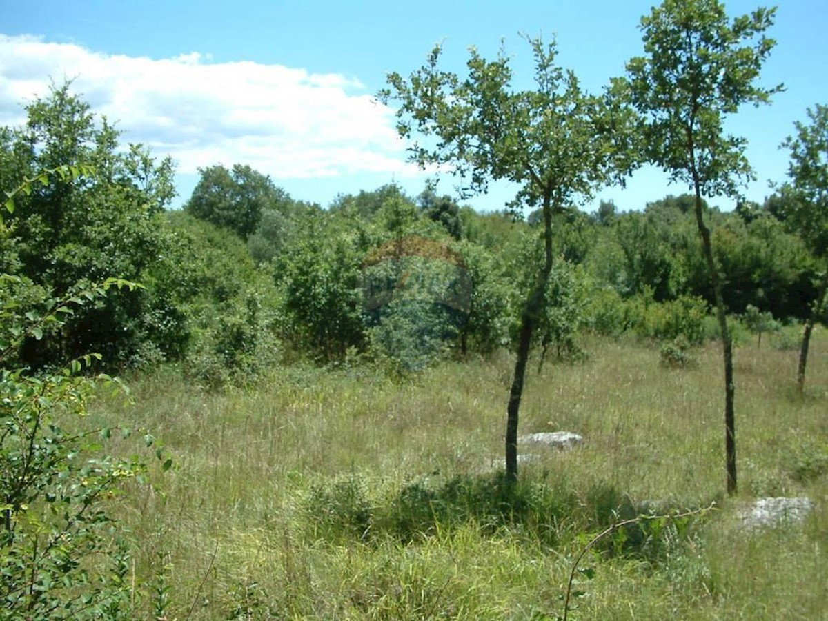 Terreno edificabile Kloštar, Sveti Lovreč, 2.206m2