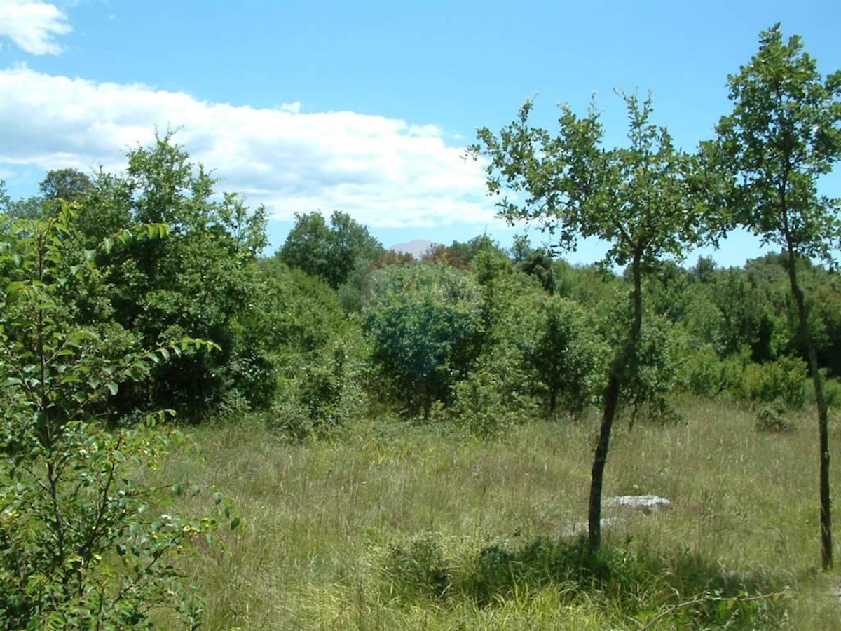 Terreno edificabile Kloštar, Sveti Lovreč, 2.206m2