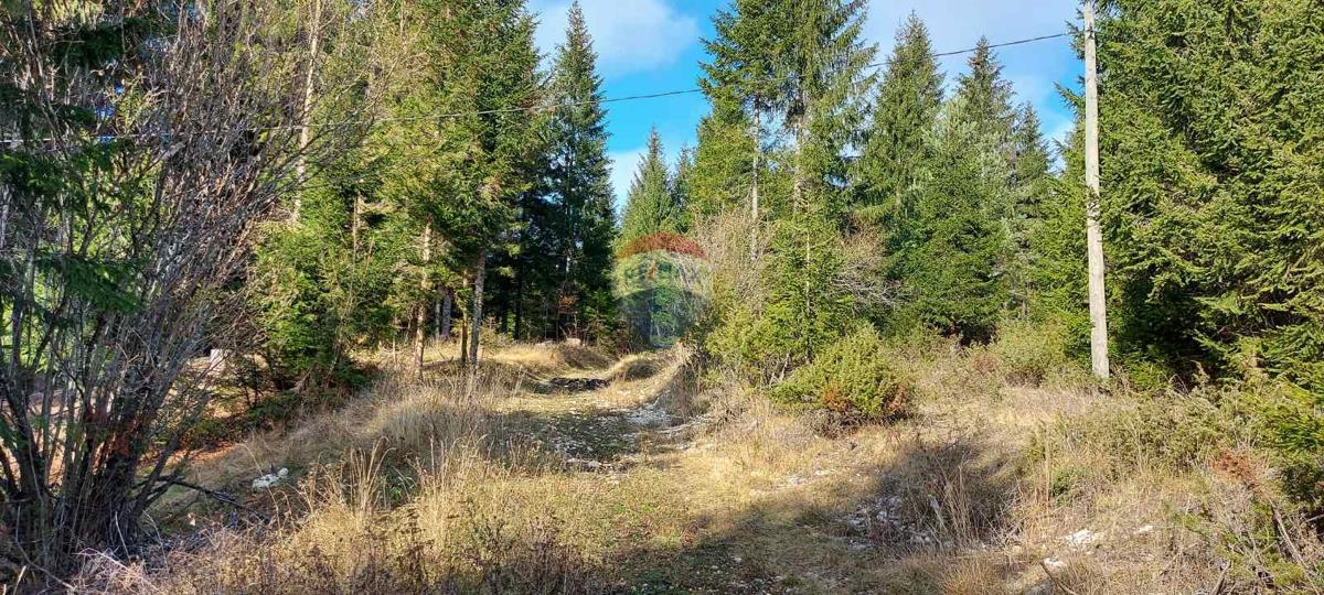 Terreno non edificabile Sunger, Mrkopalj, 5.630m2