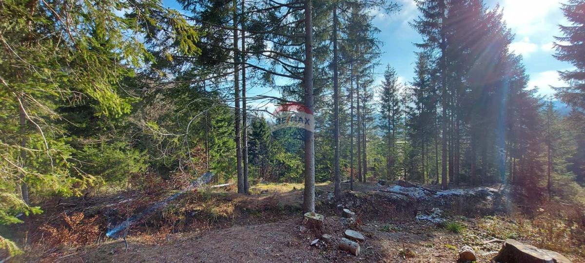 Terreno non edificabile Sunger, Mrkopalj, 5.630m2