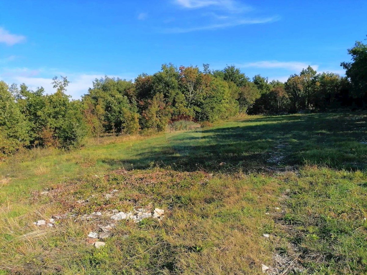 Terreno edificabile Radetići, Tinjan, 1.441m2