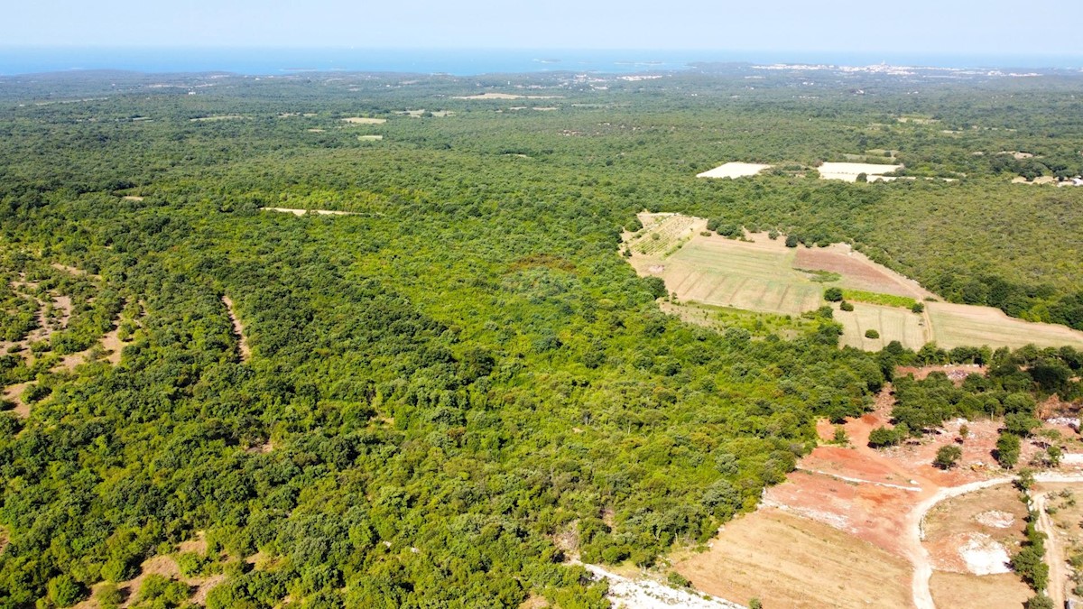 Terreno non edificabile Golaš, Bale, 13.408m2