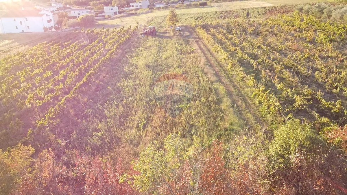 Terreno edificabile Kaštelir, Kaštelir-Labinci, 1.500m2